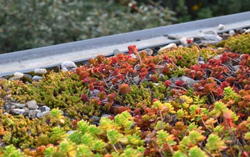 the cost of Bromstead Heath green roof installation