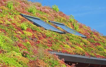 Bromstead Heath living roof systems