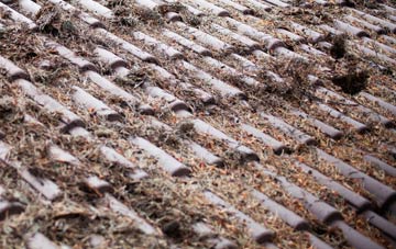 Bromstead Heath roof cleaning companies