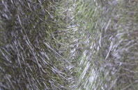 Bromstead Heath fibreglass roof work